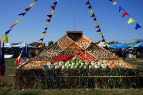 Festivalul 